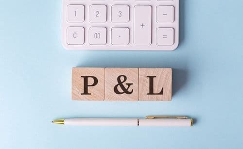 Proposed P&L Filing Changes for Small Businesses Face Potential Reversal